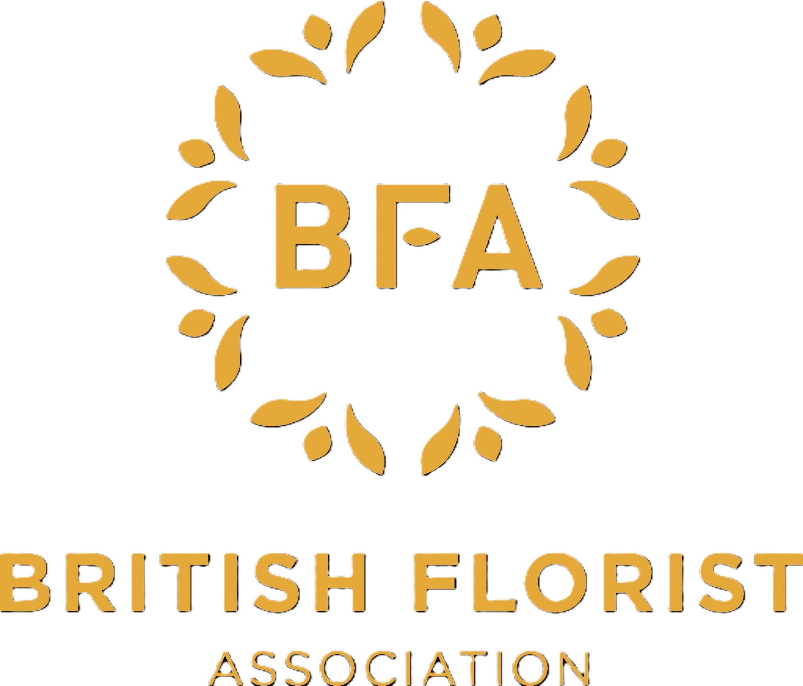 BFA Logo no background